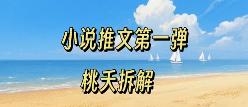 小说推文项目操作全流程第一弹，0粉就能做，门槛低非常适合新手-小言网创资源站