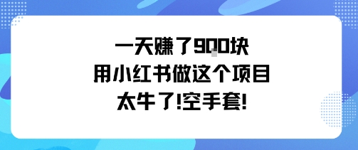 一天挣了9张用小红书做这个项目太牛了，空手套-小言网创资源站