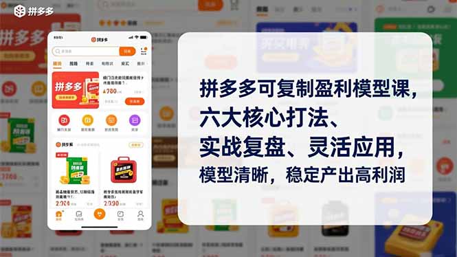 拼多多可复制盈利模型课，六大核心打法、实战复盘、灵活应用，模型清晰，稳定产出高利润-小言网创资源站