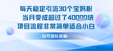 每天稳定引流30个人 当月变成超过了4个W项目流程非常简单适合小白-小言网创资源站