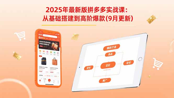 2025年最新版拼多多实战课：从基础搭建到高阶爆款(9月更新-小言网创资源站