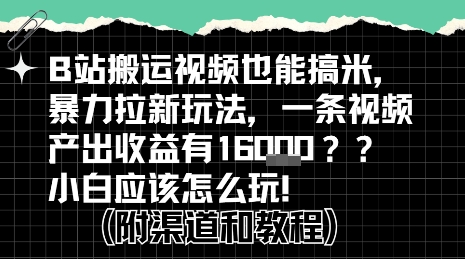 b站掘金计划？搬运视频也能挣拉新的收益，小白应该怎么玩！-小言网创资源站