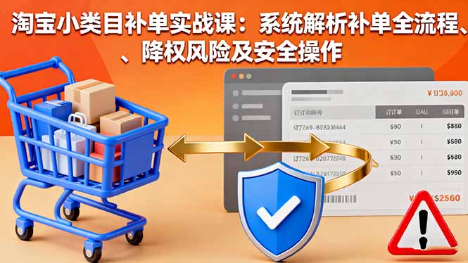 淘宝小类目补单实战课：系统解析补单全流程、降权风险及安全操作-小言网创资源站
