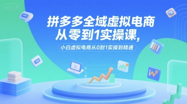 拼多多全域虚拟电商从零到1实操课，小白虚拟电商从0到1实操到精通-小言网创资源站