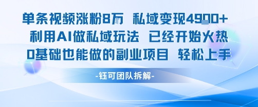 单条视频私域变现4.9k+利用AI做私域玩法 已经开始火热0基础也能做的副业项目轻松上手-小言网创资源站
