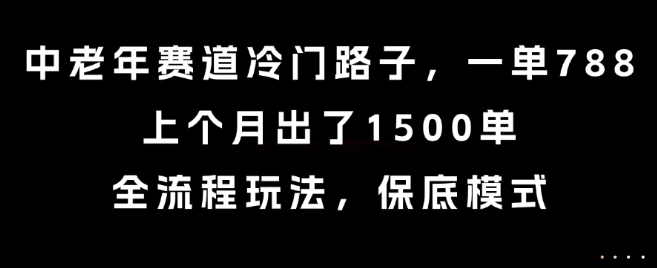 中老年赛道冷门路子，一单788，上个月出了1500单，全流程玩法，保底模式【揭秘】-小言网创资源站