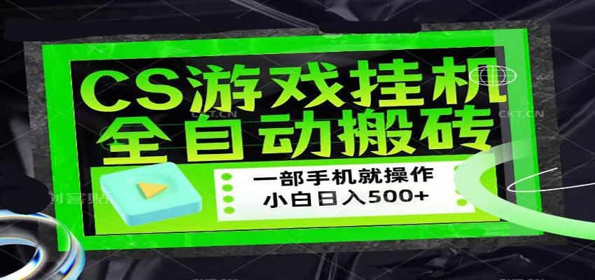 CSGO游戏挂机捡漏搬砖，超稳定的项目，带领1000+小白实现日入500+-小言网创资源站