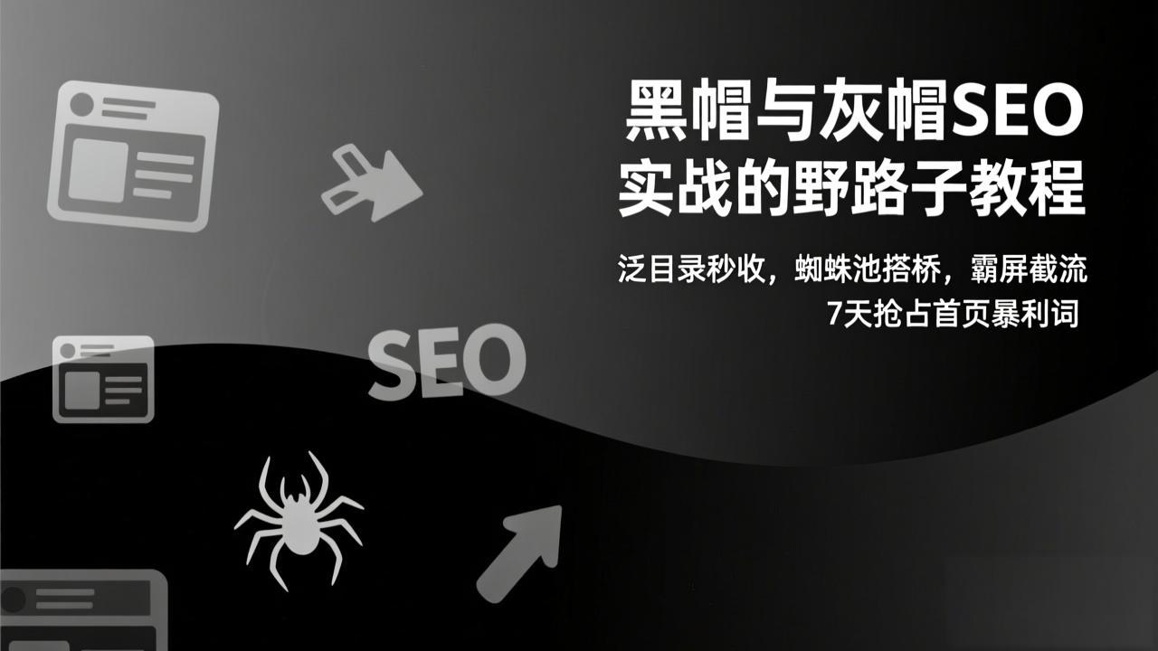 黑帽与灰帽SEO实战的野路子教程：泛目录秒收，蜘蛛池搭桥，霸屏截流，7天抢占首页暴利词-小言网创资源站