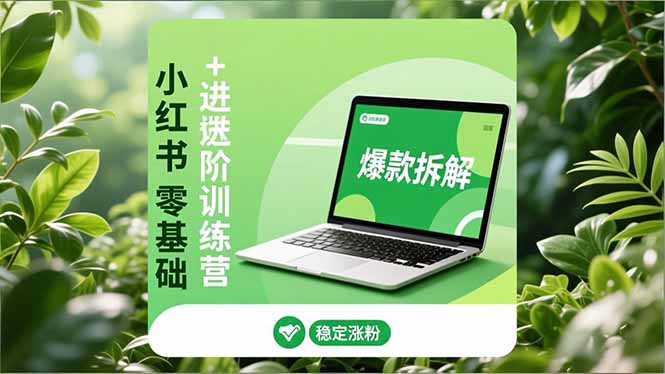 小红书零基础+高阶训练营：安全养号、爆款拆解、长效运营，实现稳定涨粉与变现-小言网创资源站