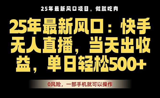 25年最新无人直播玩法，当天秒出单，一部手机就可操作-小言网创资源站