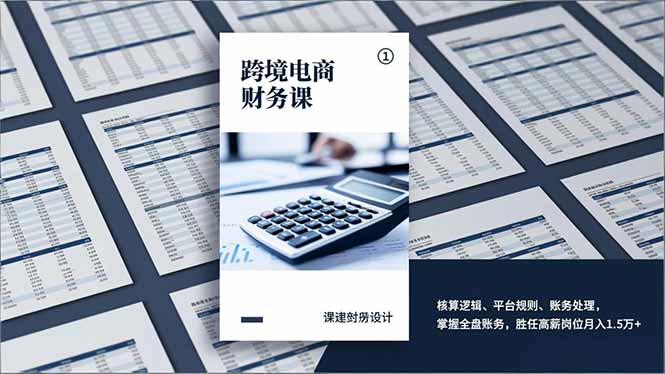 跨境电商财务课，核算逻辑、平台规则、账务处理，掌握全盘账务，胜任高薪岗位月入1.5万+-小言网创资源站