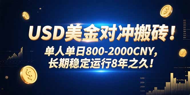 USD美金对冲搬砖!单人单日800-2000CNY，长期稳定运行8年之久!-小言网创资源站