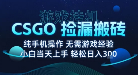 8月最新游戏搬砖，CSGO纯挂G，不需要玩游戏，实现真挂G，月入1W+【揭秘】-小言网创资源站