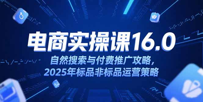 淘宝电商运营课16.0，自然搜索与付费推广攻略，2025年标品非标品运营策略-小言网创资源站