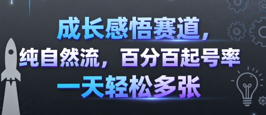 成长感悟赛道，纯自然流，百分百起号率 一天轻松多张-小言网创资源站