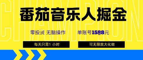 番茄音乐人掘金，单账号最高可撸1k+，可无限矩阵去做，零投入-小言网创资源站