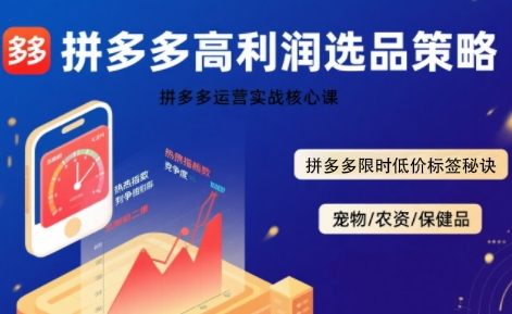 拼多多选品暴利技术实战课，拼多多高利润选品策略，拼多多限时低价标签秘诀-小言网创资源站