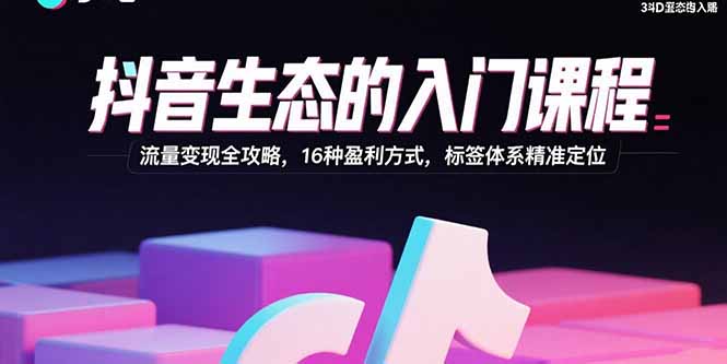 抖音生态的入门课程：流量变现全攻略，16种盈利方式，标签体系精准定位-小言网创资源站