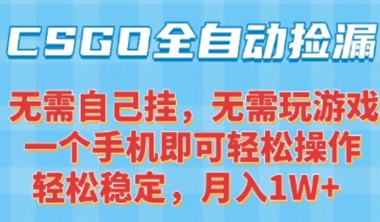 CSGO自动捡漏项目，最新独家玩法，一个手机可操作，新手小白轻松月入1W+，操作简单易上手【揭秘】-小言网创资源站