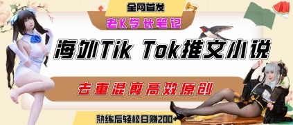 海外tiktok小说推文暴力项目，高停留率，高转化率，上手后一天搞顿饭钱不是问题-小言网创资源站
