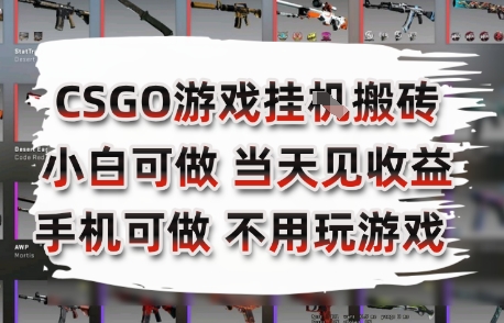 CSGO游戏挂G搬砖，小白纯手机即可操作，不用电脑打游戏，日入3张+，副业网创项目【揭秘】-小言网创资源站