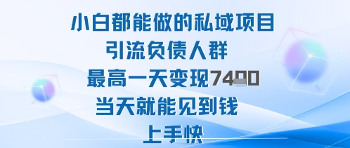 2025年小白都能做的私域项目引流负债人群最高一天变现1k+高变现难度低当天就能见到钱上手快-小言网创资源站