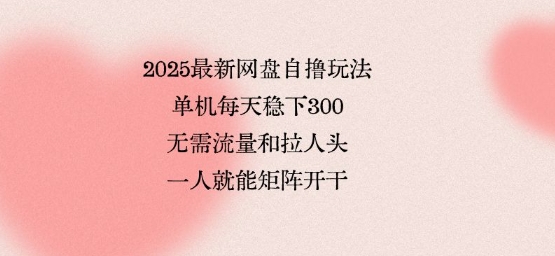 2025最新网盘自撸玩法，单机每天稳下3张，无需流量和拉人头，一个人就可轻松矩阵，全网独一份【揭秘】-小言网创资源站