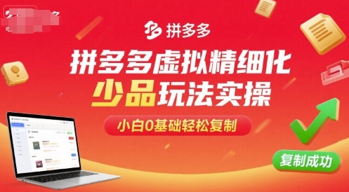 拼多多虚拟精细化少品玩法实操，小白0基础轻松复制-小言网创资源站