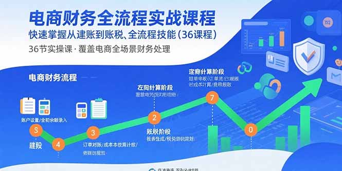 电商财务全流程实战课程：快速掌握从建账到报税的全流程技能(36节课-小言网创资源站