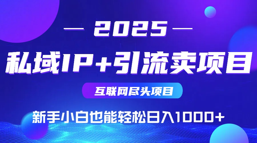 2025网创尽头项目，私域IP+引流，新手小白也能在家日入1000+-小言网创资源站