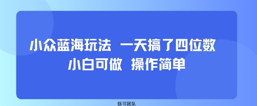 小众蓝海玩法 一天搞了四位数 小白可做 操作简单-小言网创资源站