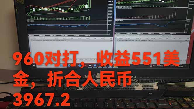 图片[1]-稳定8年的美刀搬砖项目，单人每日收益800—3000.团队4人月入10W+.可线下-小言网创资源站