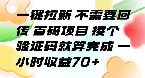 一键拉新 不需要回传 首码项目 接个验证码就算完成 一小时收益70+【揭秘】-小言网创资源站
