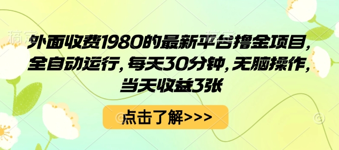 外面收费1980的最新平台撸金项目，全自动运行，每天30分钟，无脑操作，当天收益3张【揭秘】-小言网创资源站