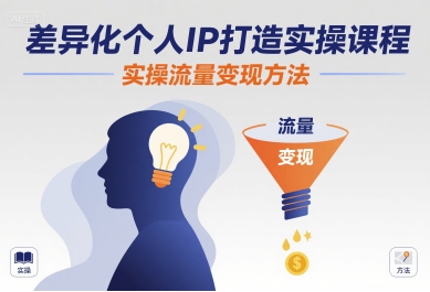 差异化个人IP打造实操课程，实操流量变现方法-小言网创资源站